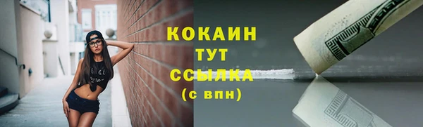 гашик Надым
