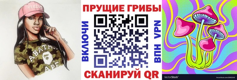 Галлюциногенные грибы Psilocybe  hydra ссылка  Торжок 